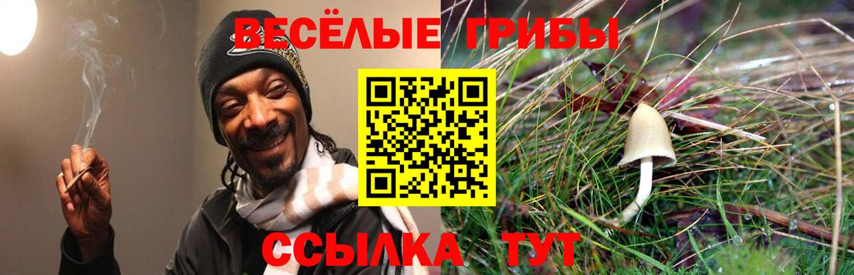 Галлюциногенные грибы GOLDEN TEACHER Миллерово