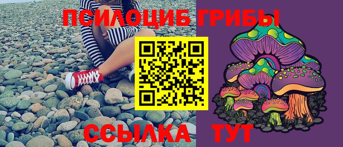Галлюциногенные грибы Psilocybine cubensis  даркнет сайт  Миллерово  Вход с VPN 